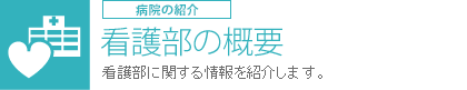 看護部の概要